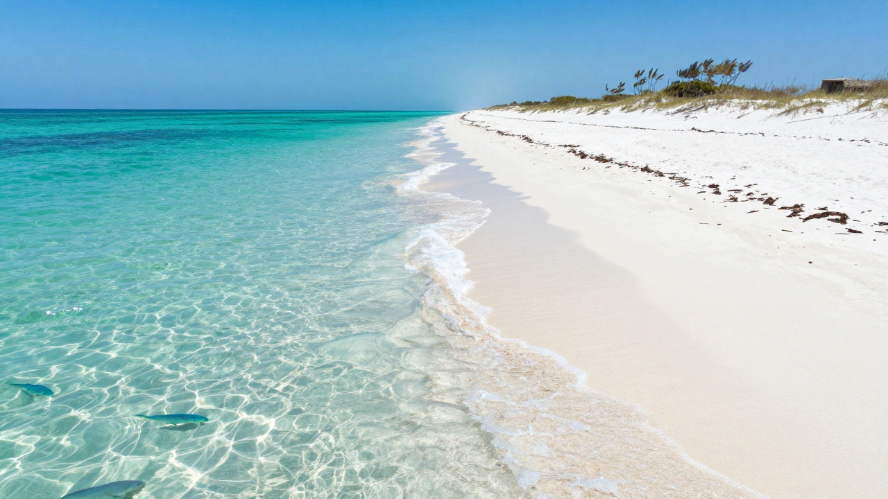Which Part of Florida Has the Prettiest Beaches? Top Spots Revealed